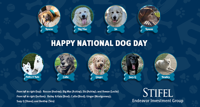 Happy National Dog Day, Images of Financial Advisor's dogs on blue background with images of paws, tennis balls and dog houses in the background; From left to right (top):  Roscoe (Andrea); Big Mac (Ashley); Sis (Ashley); and Rowan (Leslie) From left to right (bottom):  Bailey & Kaia (Brad); Callie (Brad); Ginger (Montgomery); Stifel, Endeavor Investment Group